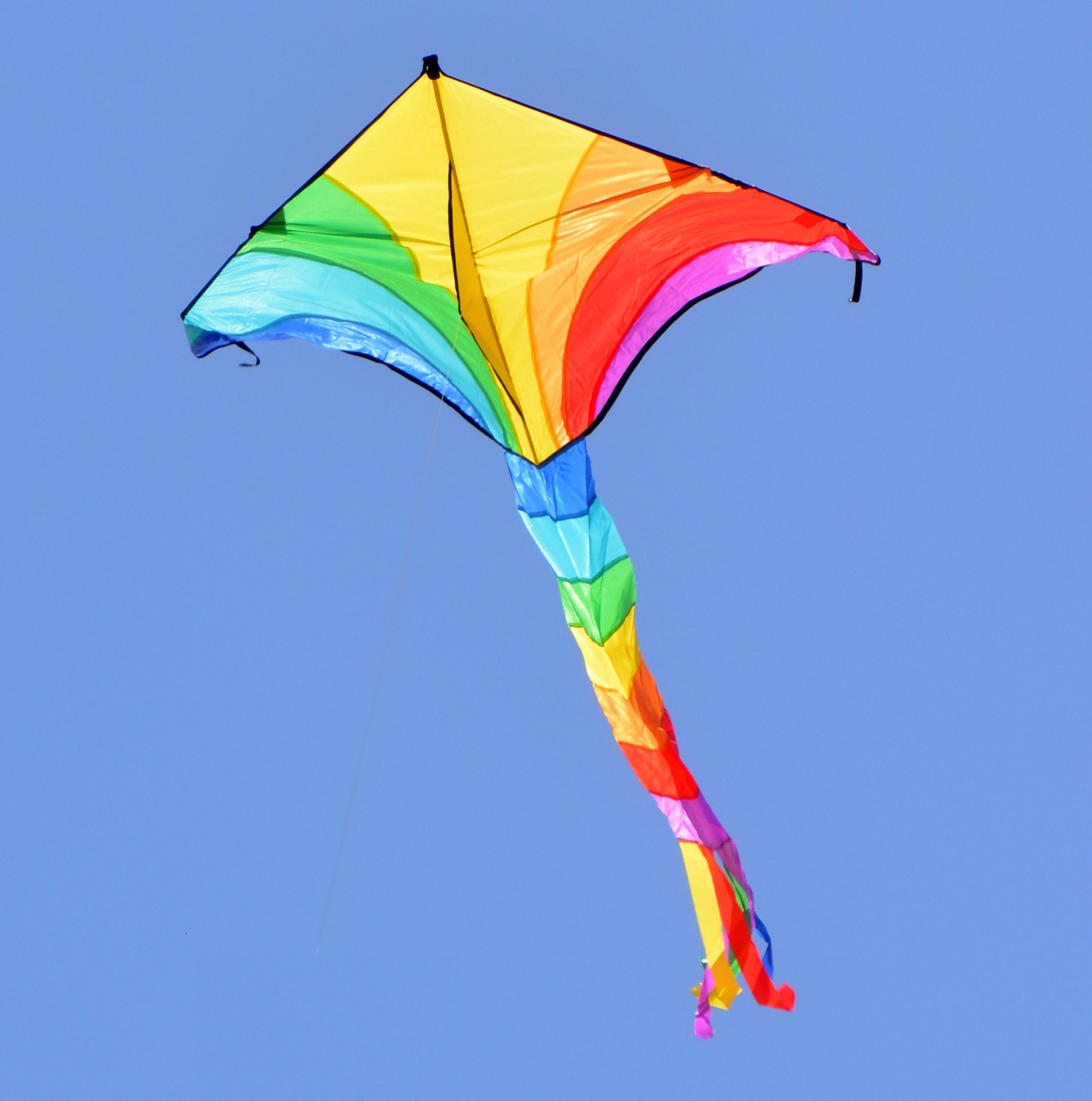 Drachen zähmen Drachen zähmen