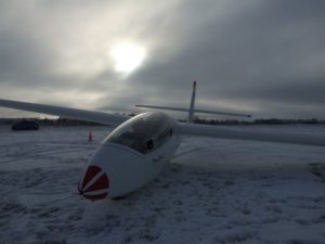 Puchacz im Schnee