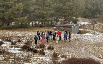 SV-Crivitz_Bogenschuetzen_Neujahrestunier_2026 SV-Crivitz_Bogenschuetzen_Neujahrestunier_2026